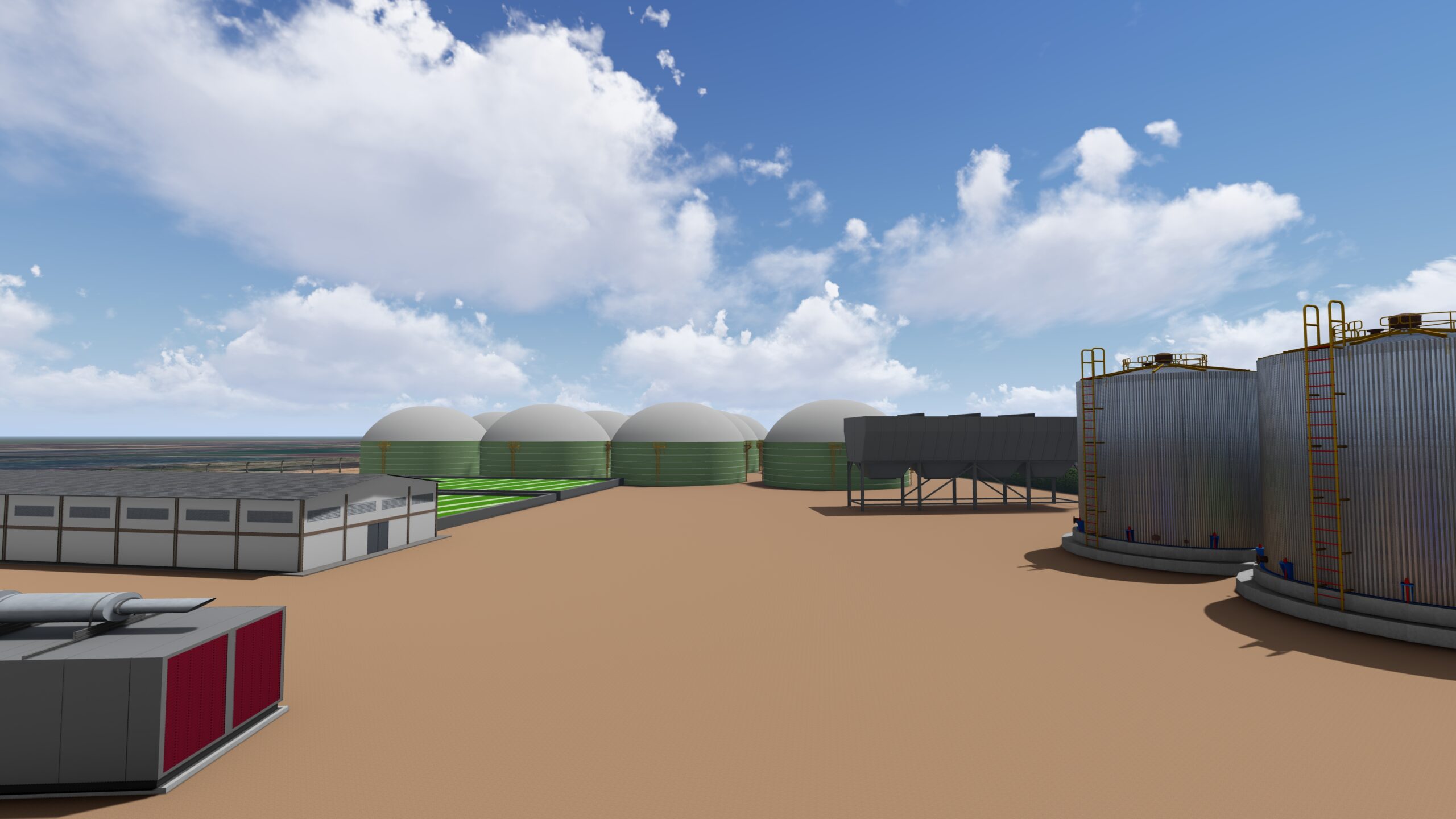 Algae & Algae gallery image 10