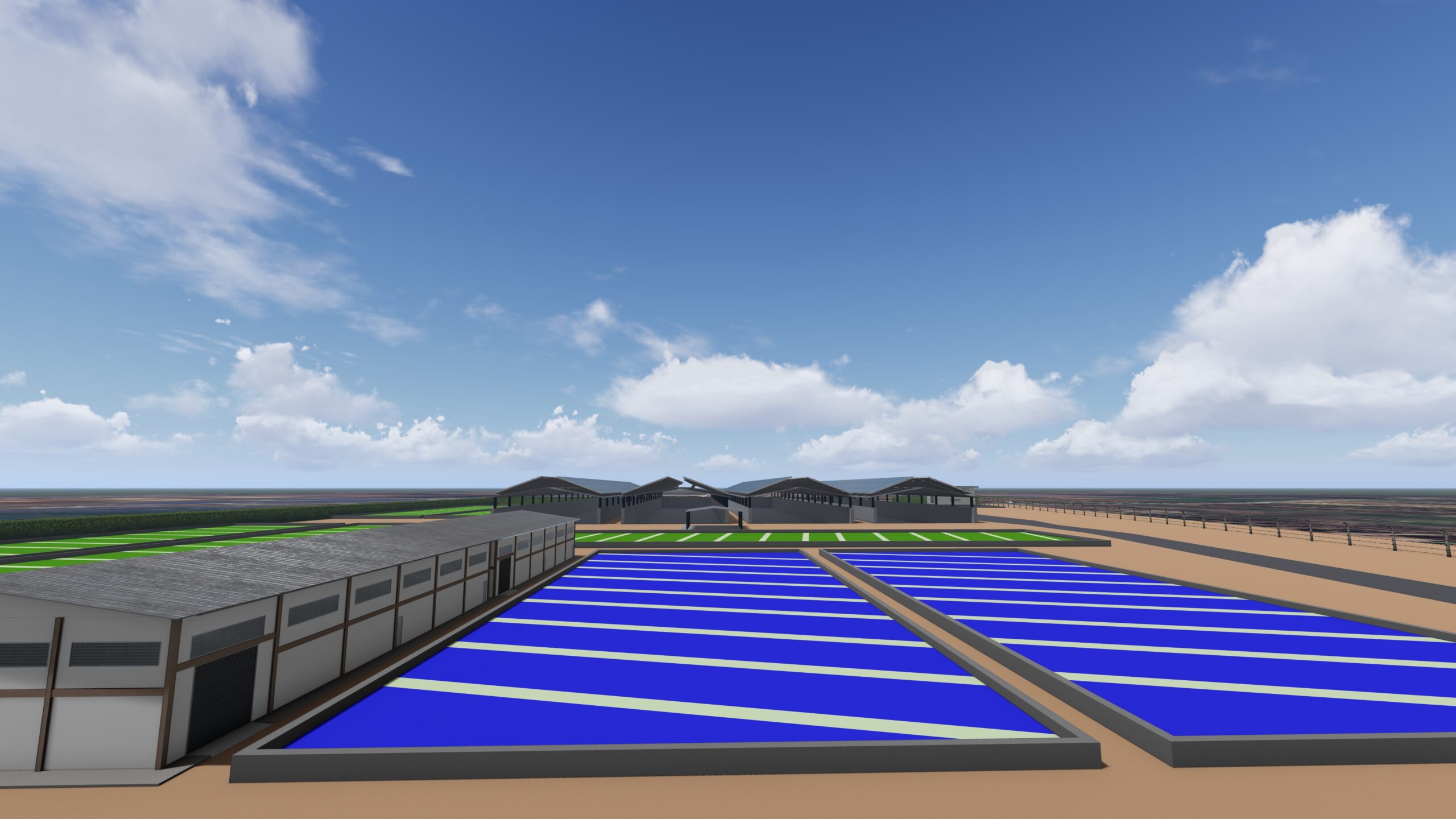 Algae & Algae gallery image 11