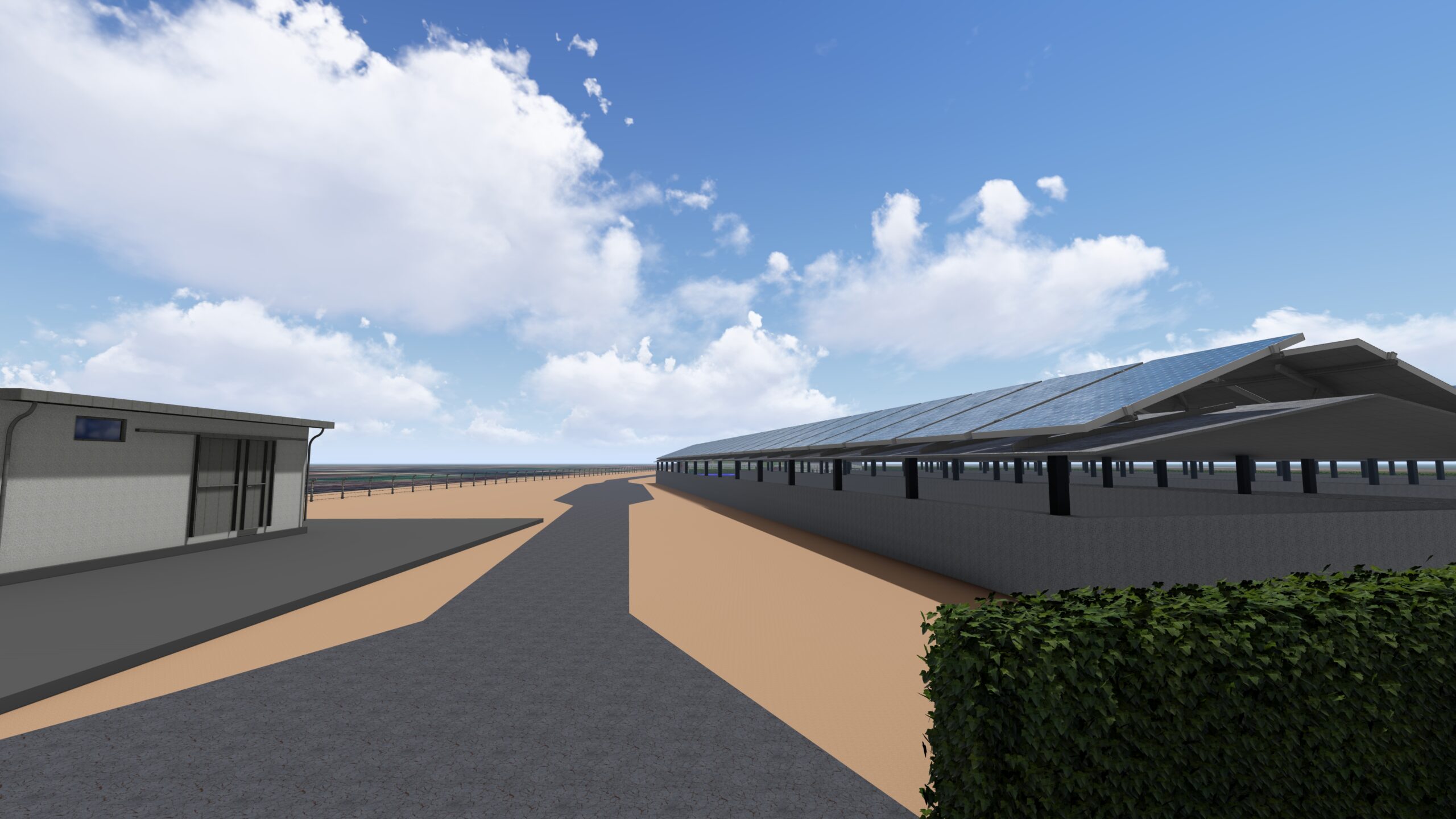 Algae & Algae gallery image 12