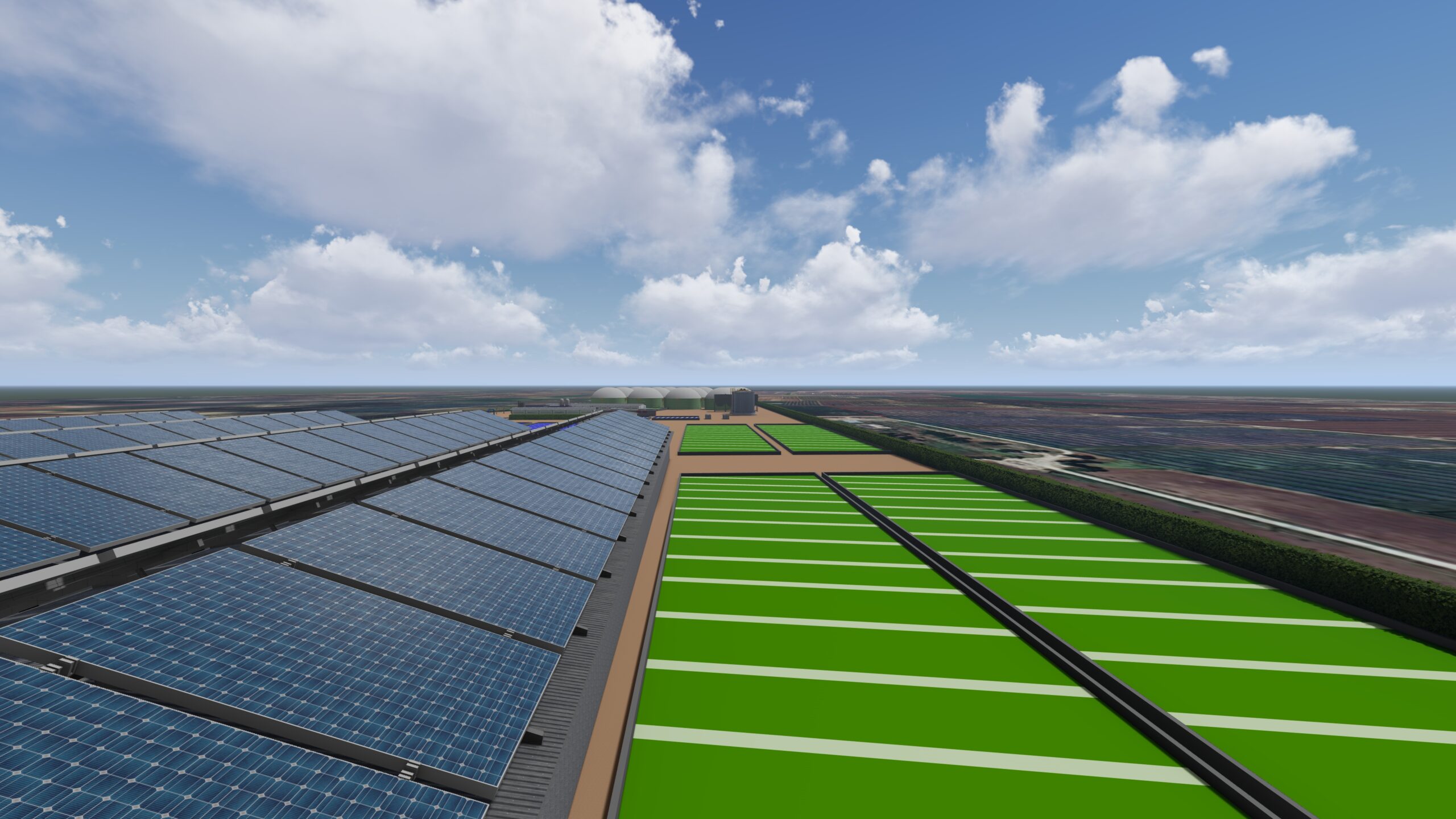 Algae & Algae gallery image 13