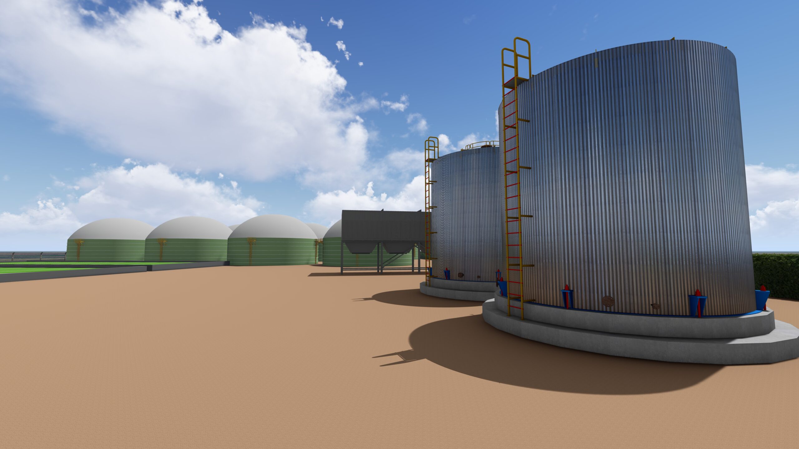 Algae & Algae gallery image 14