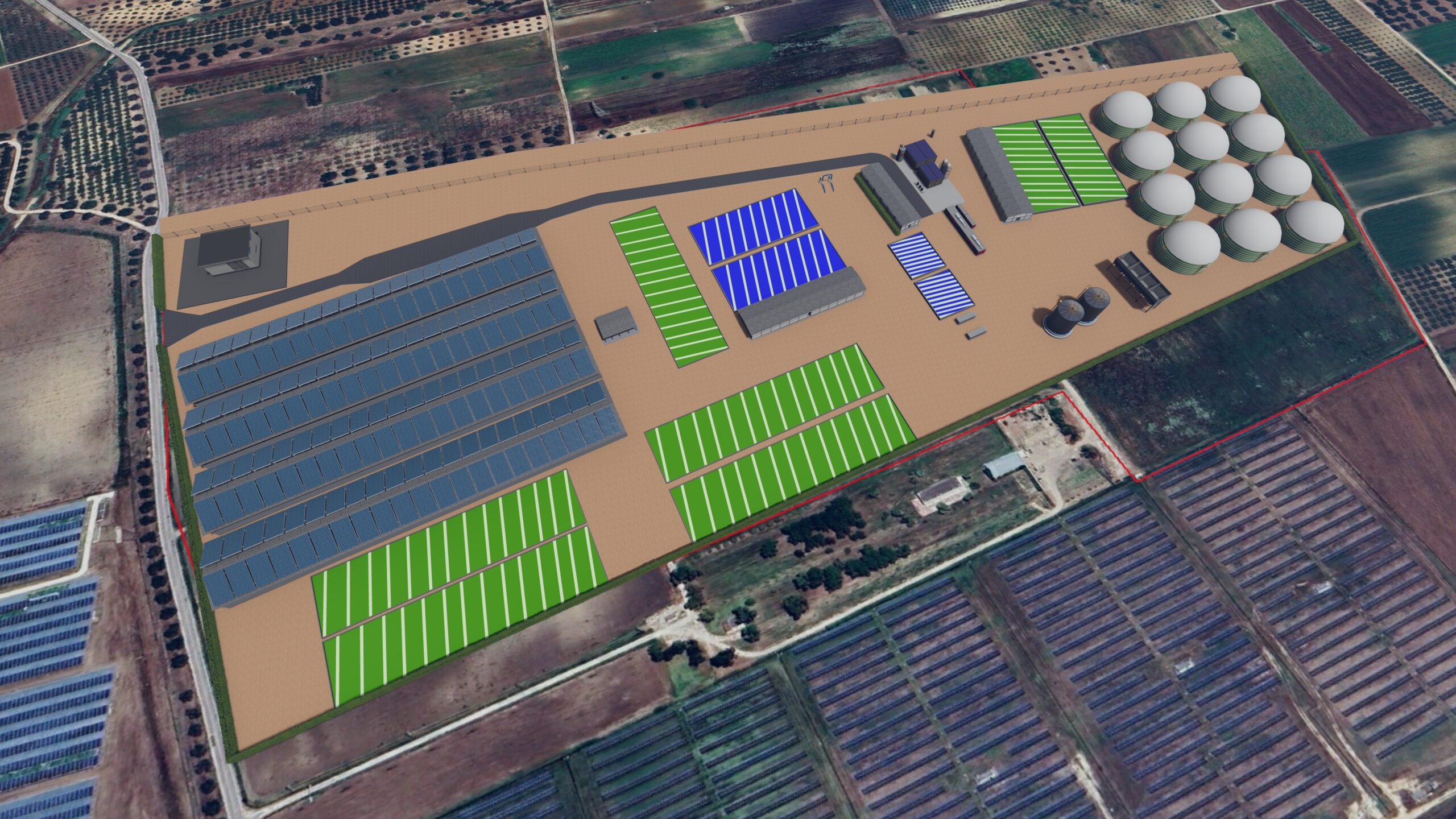 Algae & Algae gallery image 1