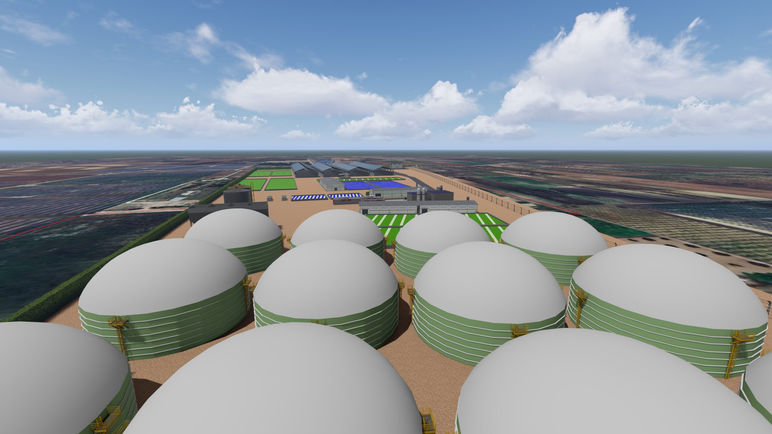 Algae & Algae gallery image 2