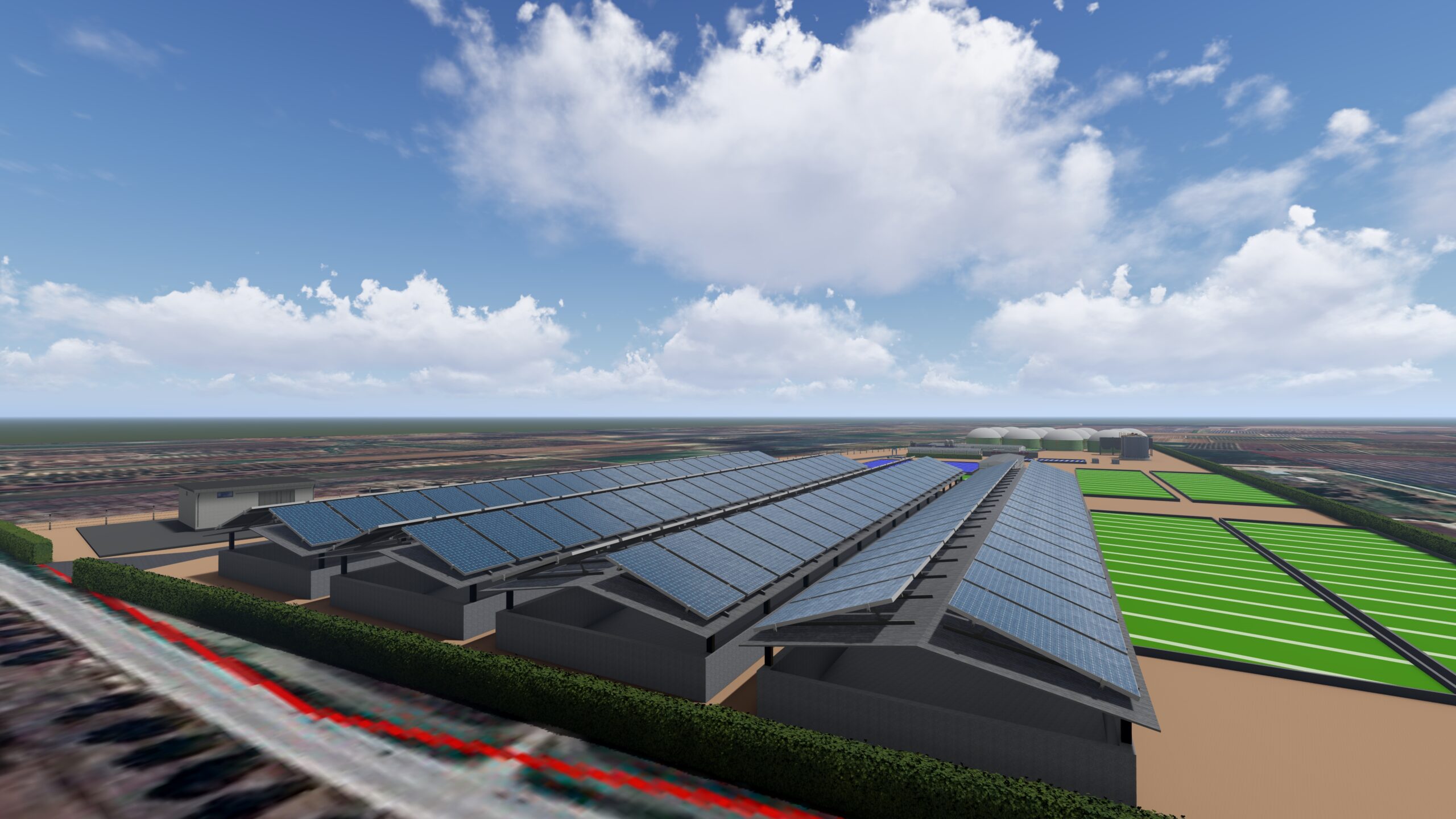 Algae & Algae gallery image 3