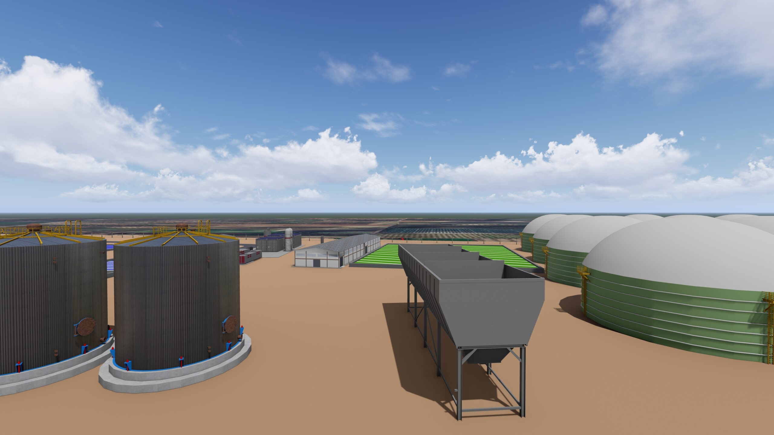 Algae & Algae gallery image 4