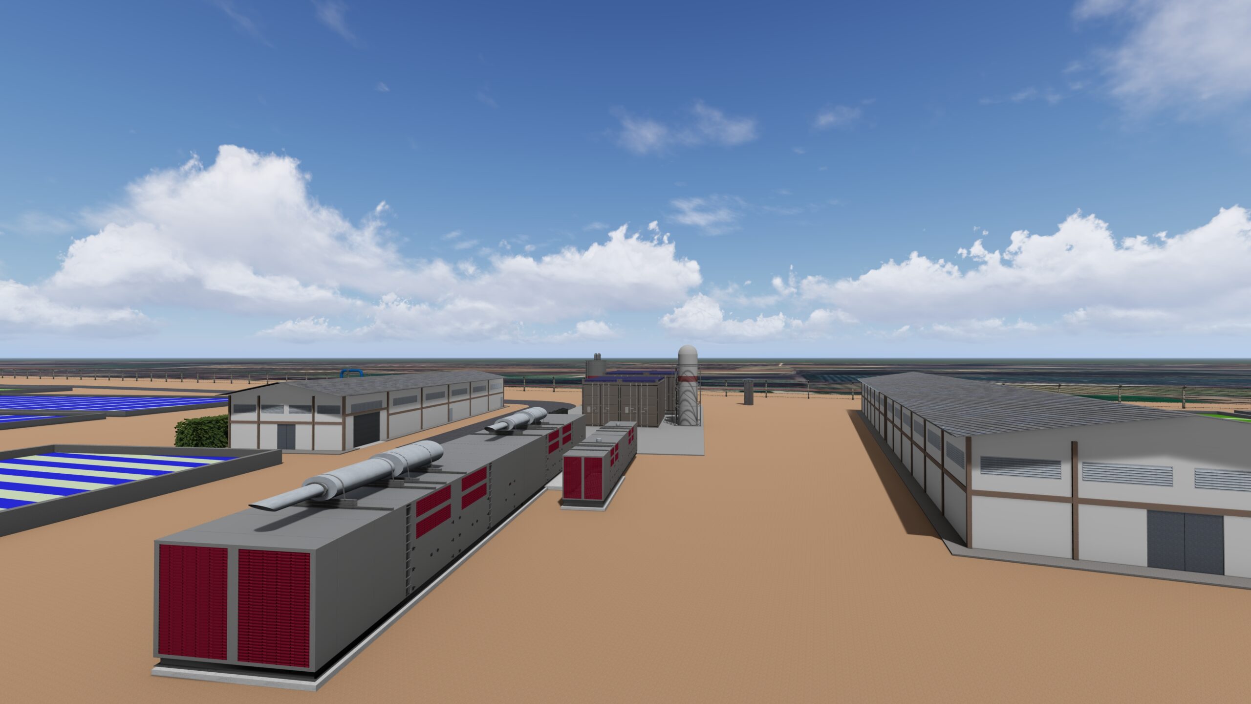 Algae & Algae gallery image 5