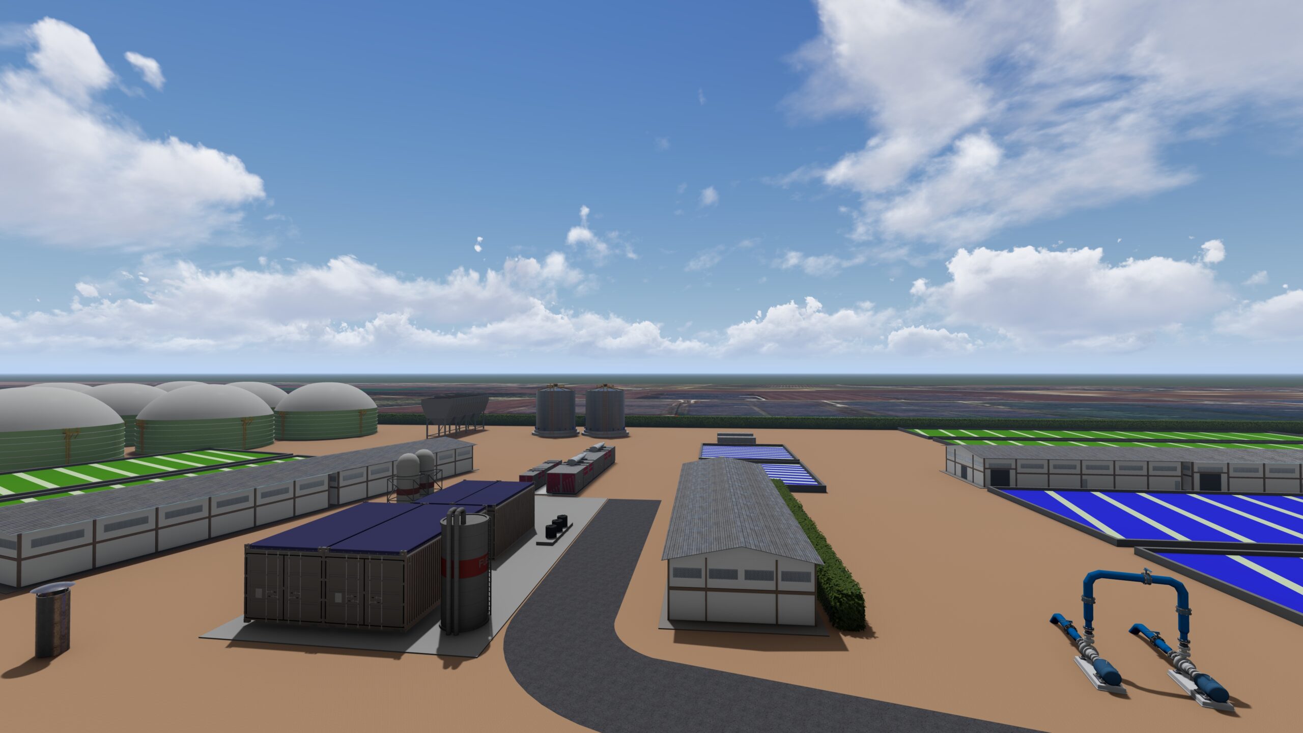 Algae & Algae gallery image 6