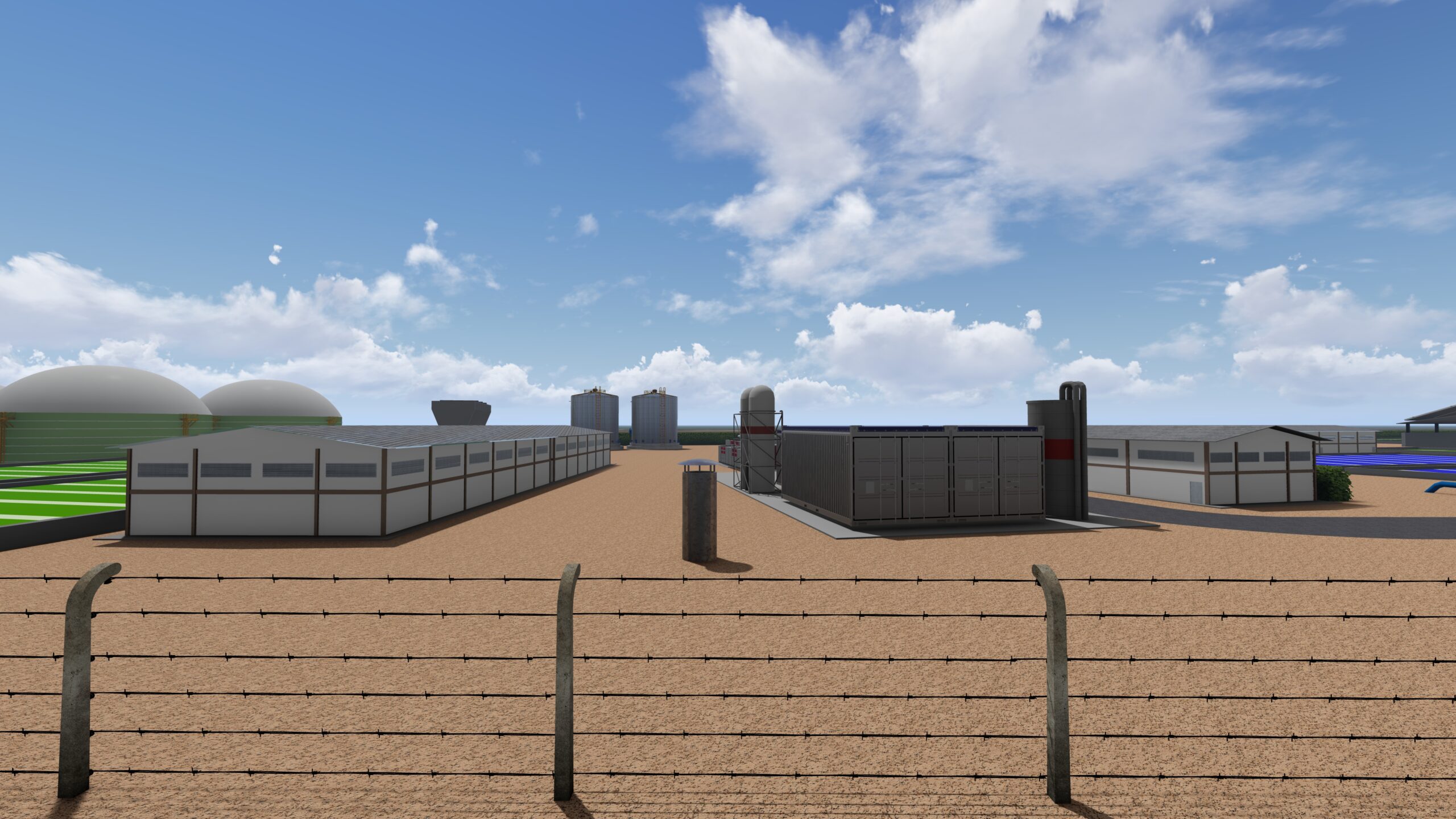 Algae & Algae gallery image 7