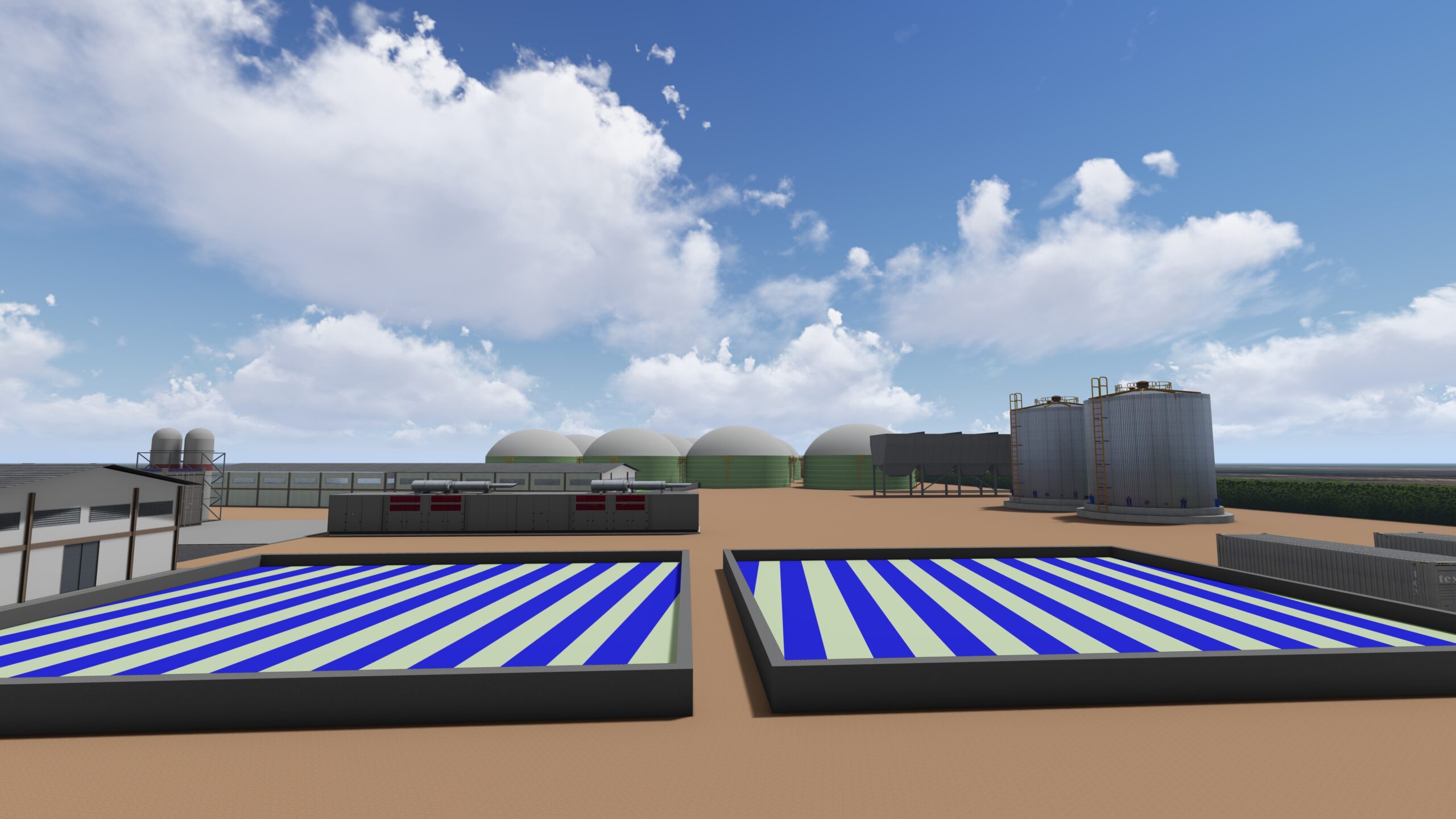 Algae & Algae gallery image 8