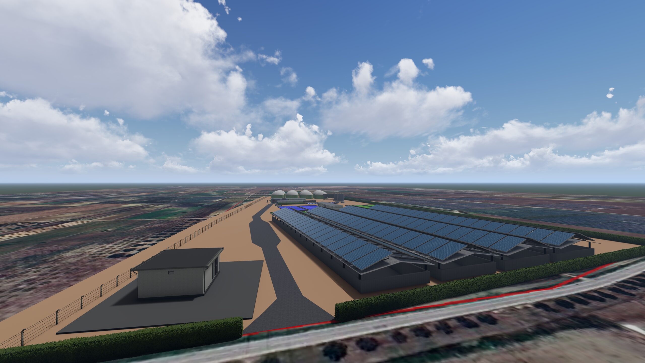 Algae & Algae gallery image 9